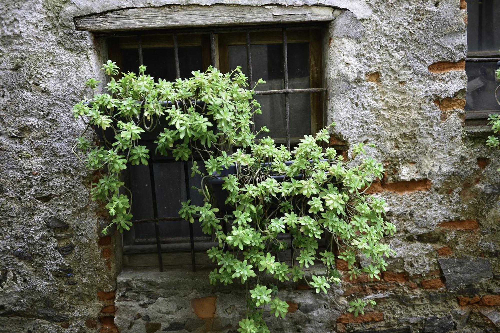 A Casa Di Sole Brovello Apartment Exterior foto